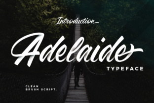 Adelaide: A Designer's Review for Real Branding Projects