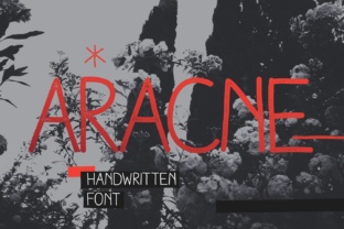 Aracne Font Review: A Modern Typeface for Small Business Branding