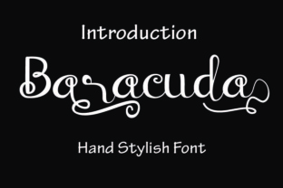 Baraccuda Font Review: A Youthful Script for Web Design