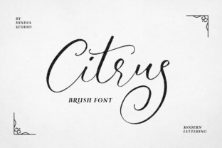 Citrus: A Handwritten Font for Authentic Branding