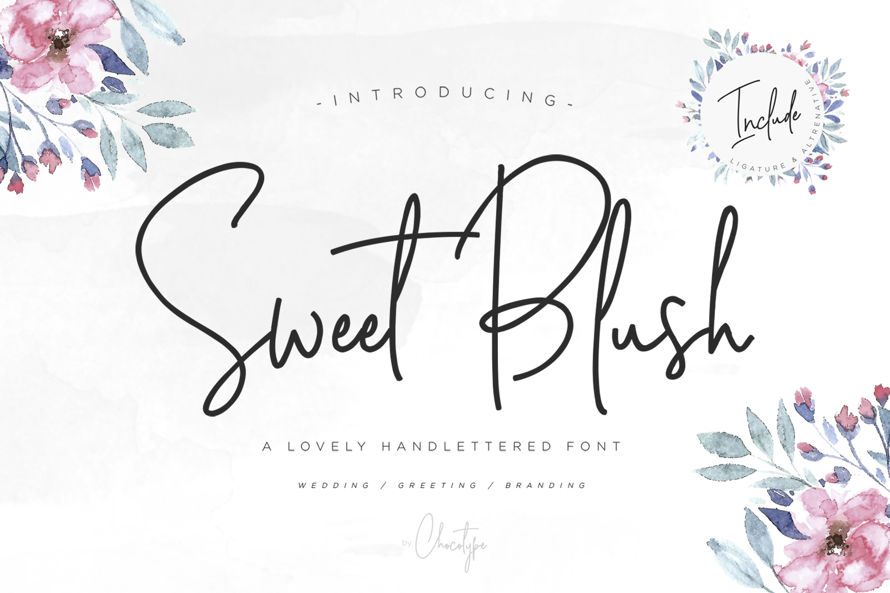 Designing with Sweet Blush: A Monoline Script for Modern Brands