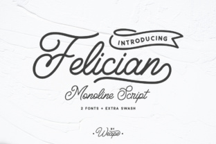 Felician Font: The Modern Script That Elevates Campaign Design
