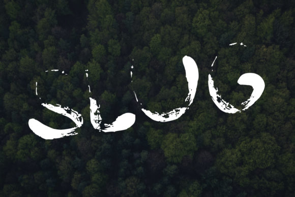 Slug: The Friendly Typeface That Transforms Small Business Brands