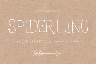 Spiderling Font: A Handwritten Typeface for Modern Web Design